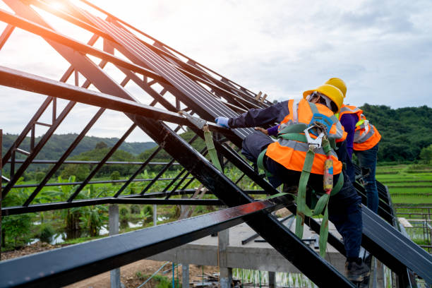 Best Roof Gutter Cleaning  in Lowesville, NC